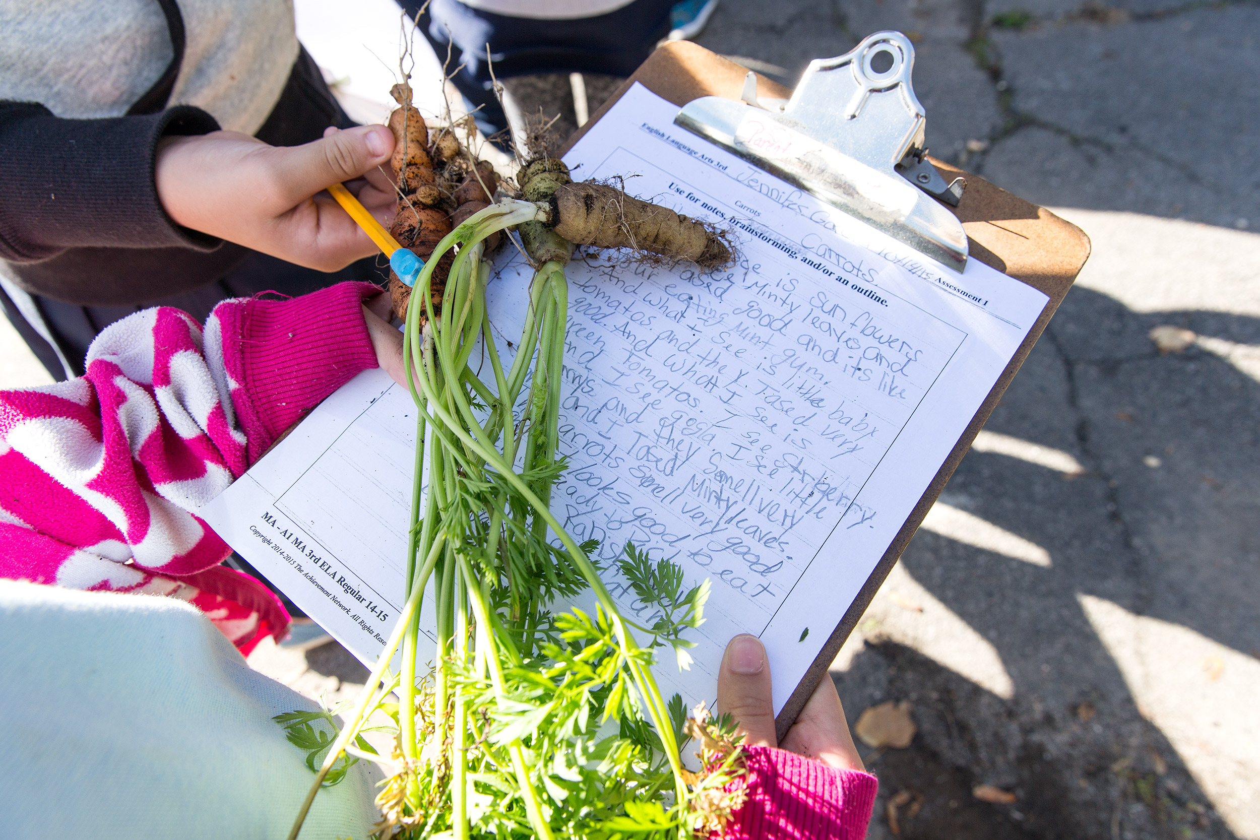 KIM LOWE | DIRECTOR PHOTOGRAPHER | KIDS | GROW | GARDEN | School Gardens | 22