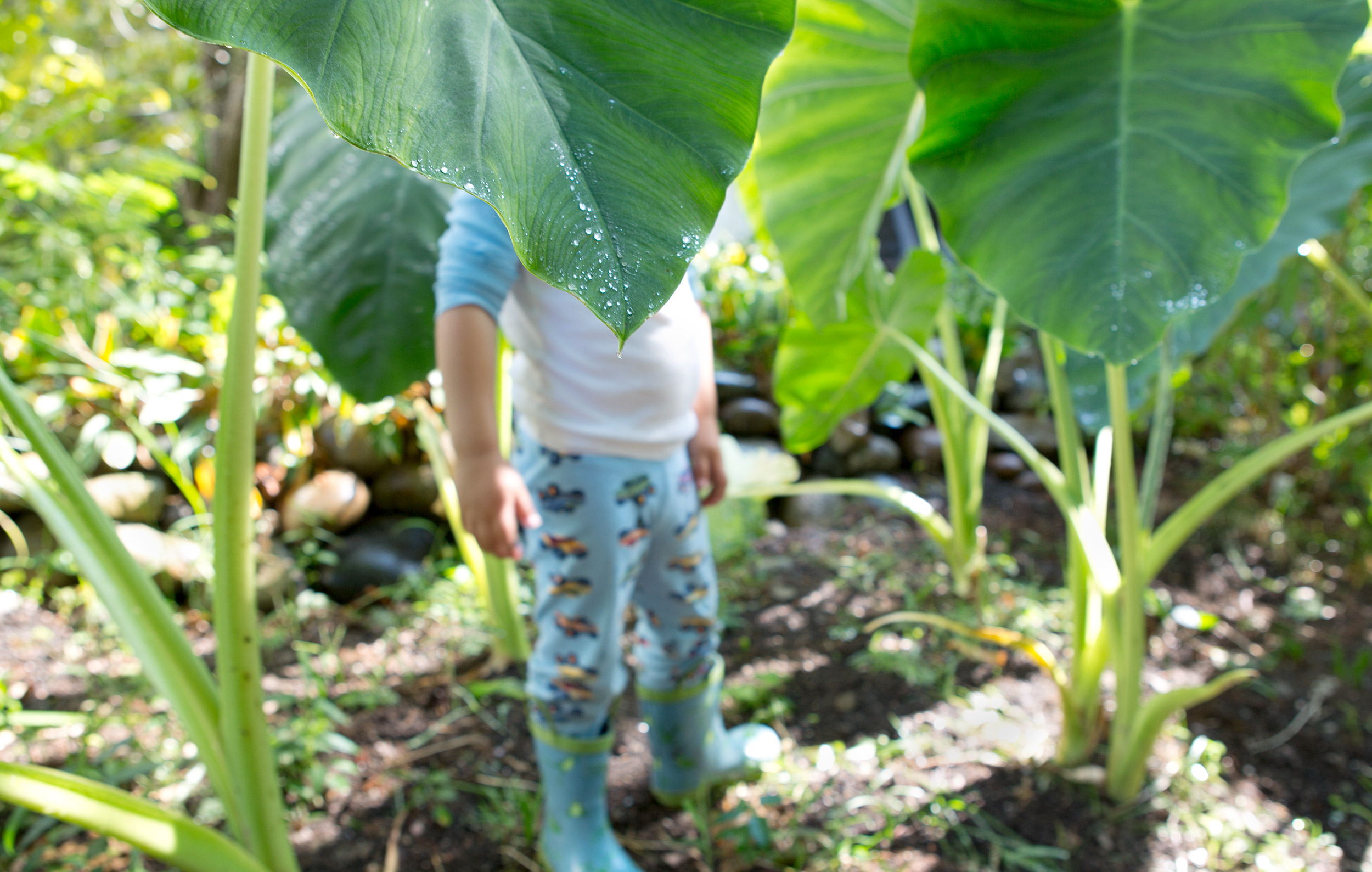 PHOTOGRAPHER | KIDS | ELEPHANT EARS | GROW | Gardening With Kids | 43