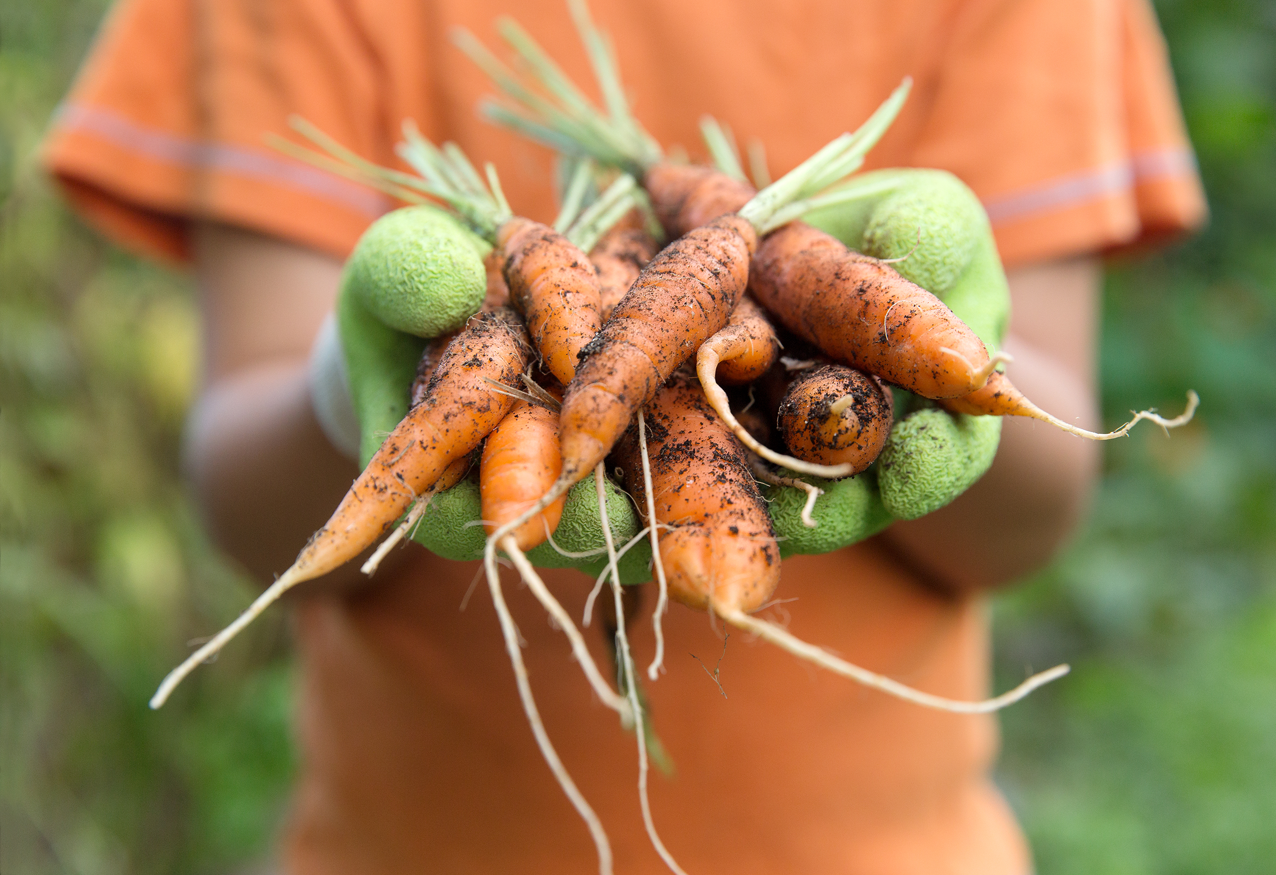 PHOTOGRAPHER | KIDS | GROW | GARDENING | FamilyFun Magazine | Storey Publishing | Gardening With Kids | 3