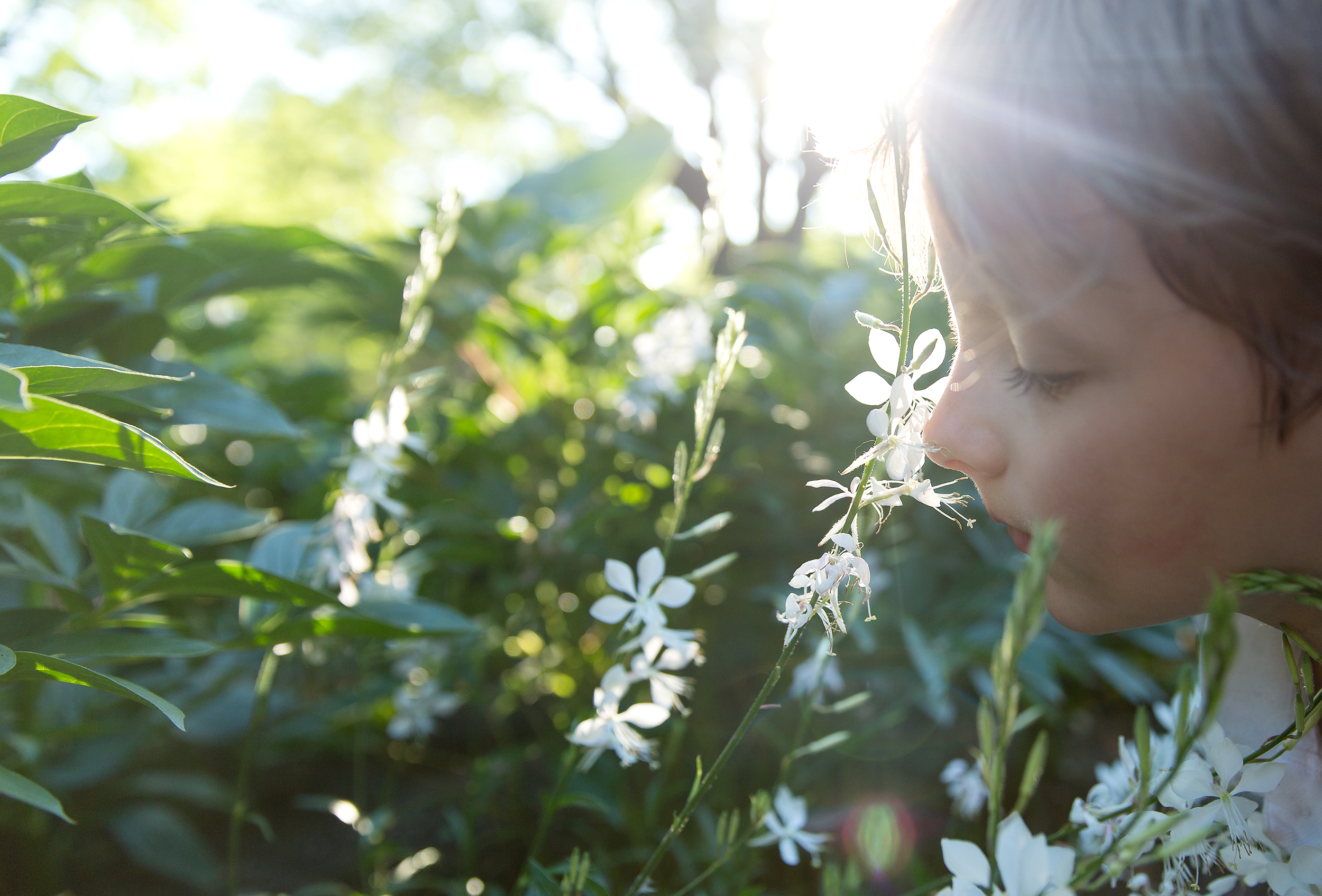 PHOTOGRAPHER | KIDS | GROW | GARDEN | Stop and smell the flowers! | Gardening With Kids | 14