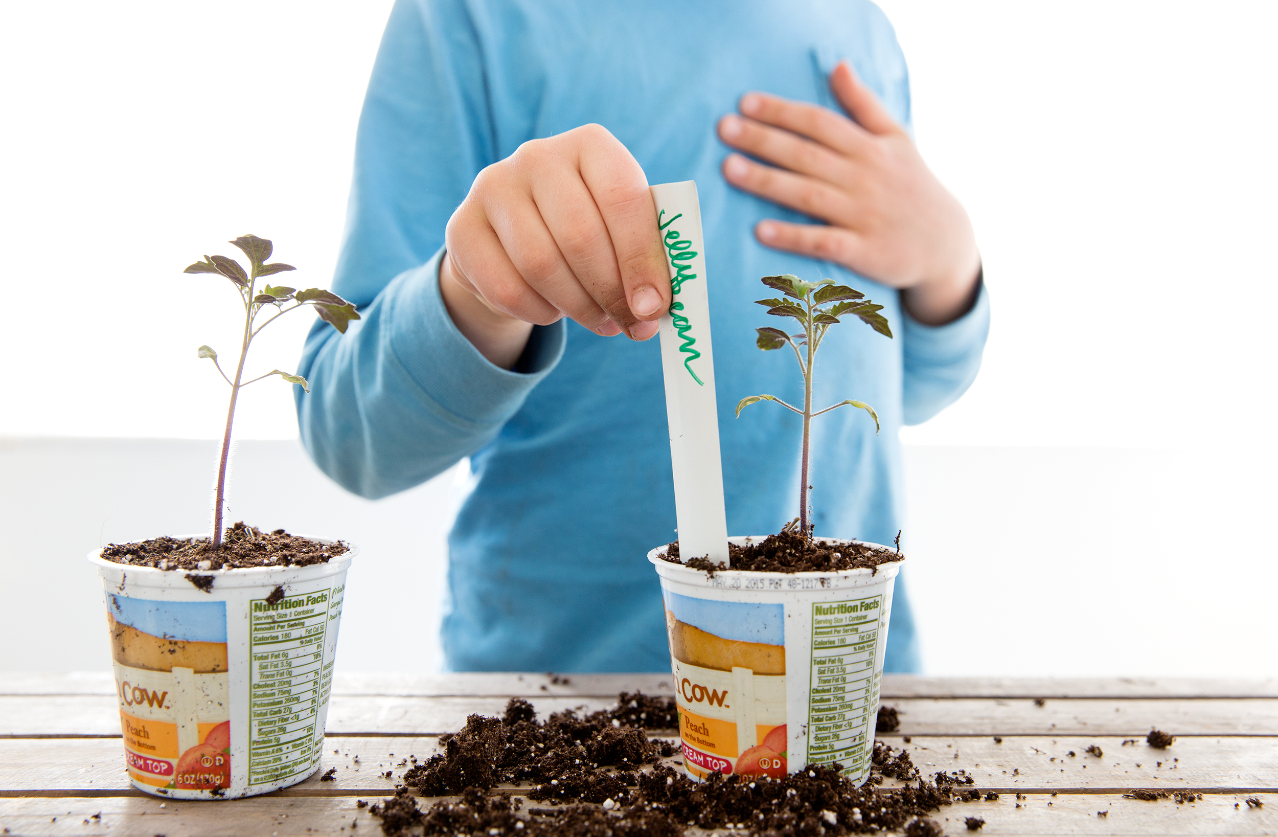 PHOTOGRAPHER | KIDS | GROW | SEEDS | SEEDLING | SEED STARTING | Gardening With Kids | 64