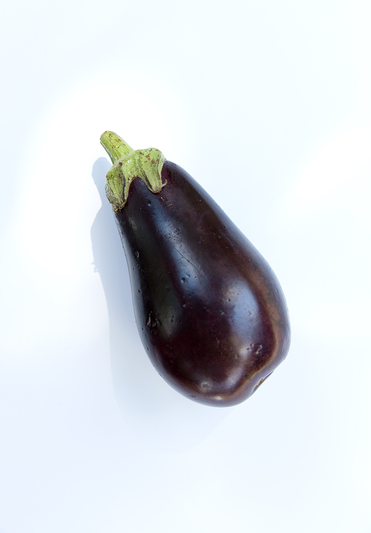 GROW_olliespurplegarden_veggies_organic_eggplant