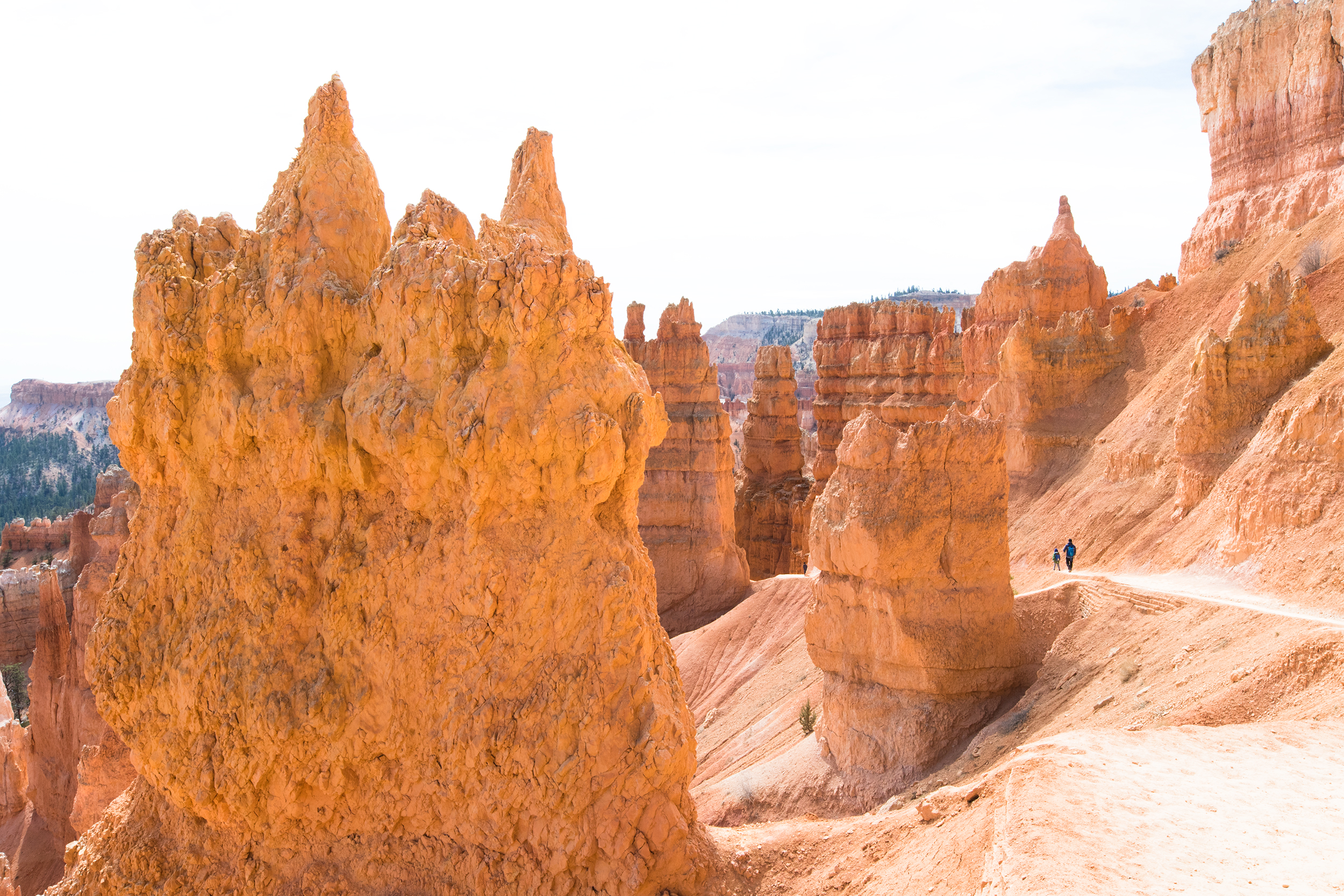 NATLPARKING_travel_rv_adventure_brycecanyon_0613_WB