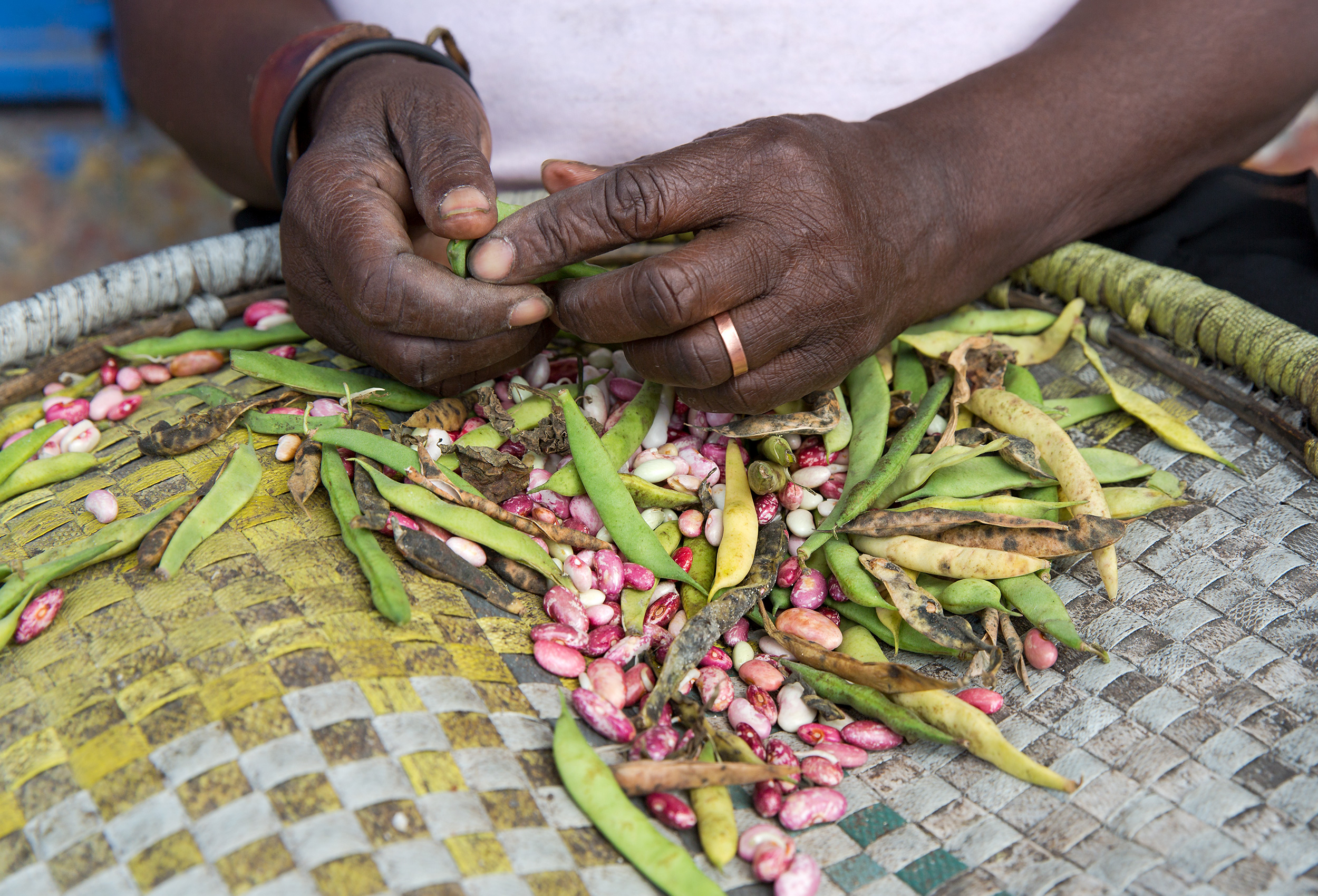 TRAVEL_HAITI_BEANS_seeds_haitian_market_portauprince_0704_WB